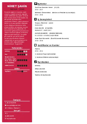 Ressam Cv Örnekleri cv indir